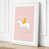 White Border