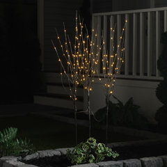 Curly Willow Branches - Wayfair Canada