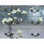 Armoire de vestibule 3 tiroirs Silver Silver