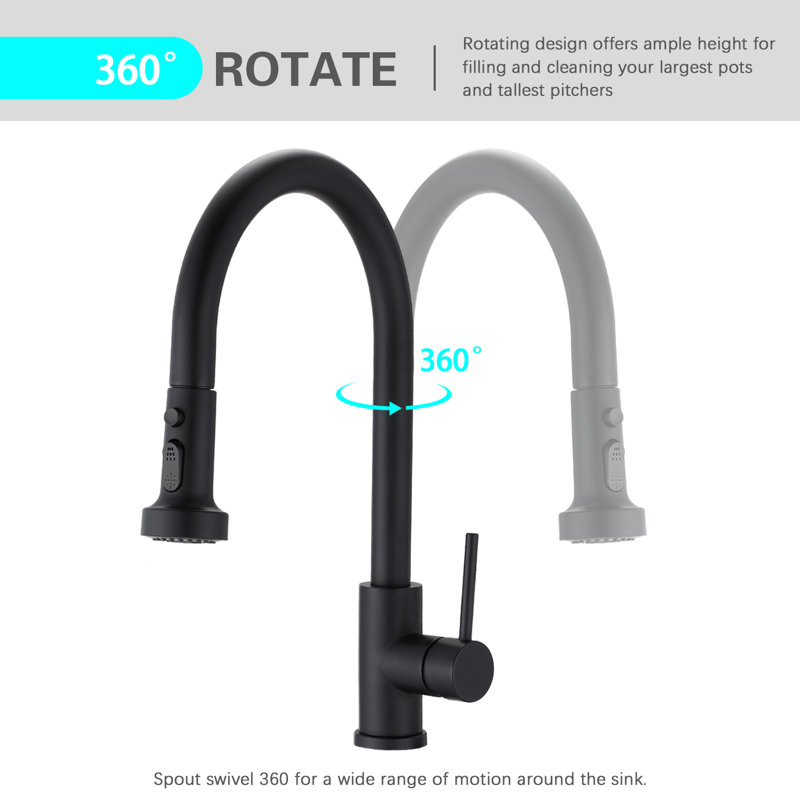 Robinet de cuisine Eqloo, Noir mat