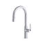 Authentica Pull-Down Kitchen Faucet With C-Spout-215298018
