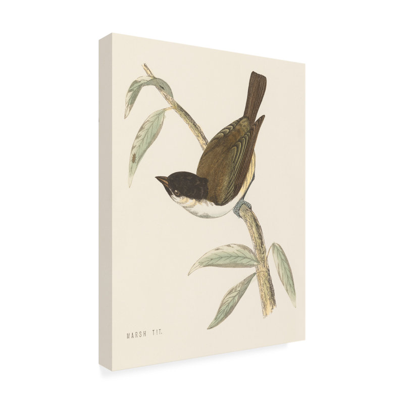 Engraved Birds II Horizontal Canvas Print with Wood Frame