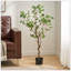 Bonsai artificiel en feuille de Milan-822922030