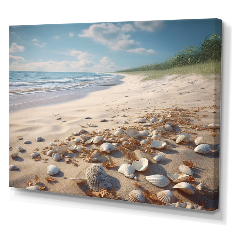 Seaside Seashell Treasures II - impression, H 12 po x l 20 po x P 1 po, Toile tendue