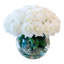 Roses in Vase-1253783697