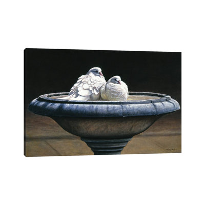 " Bird Bath " by Jeremy Paul