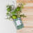 Spice Oils & Scents