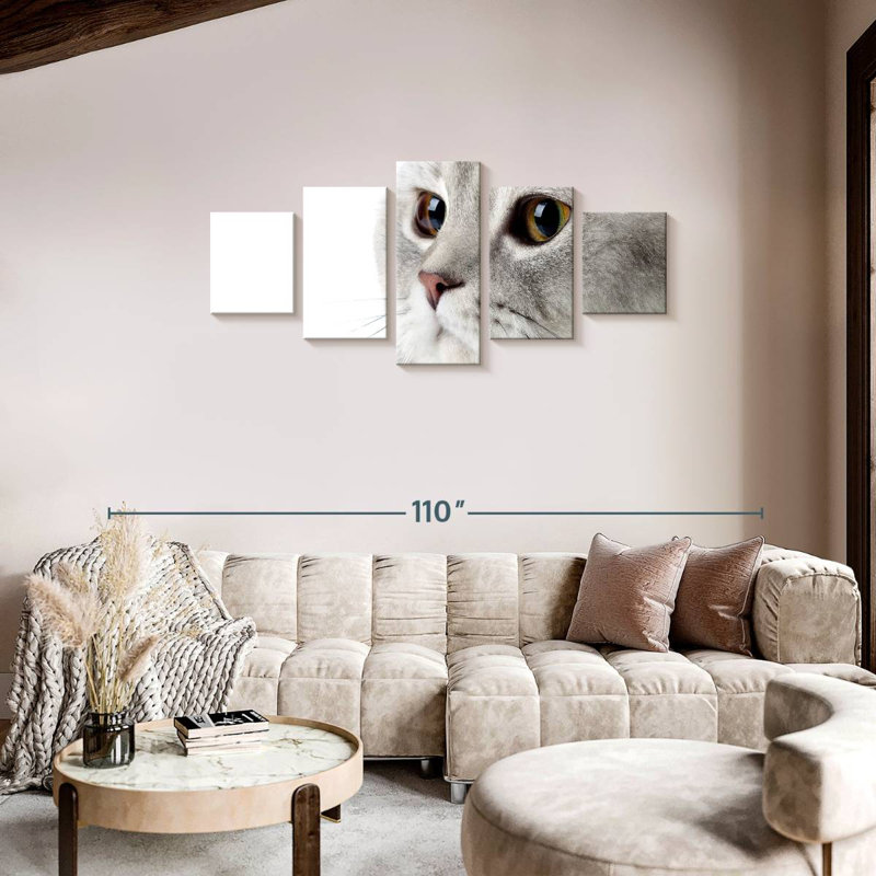 Chat gris moelleux, H 34 po x l 74 po