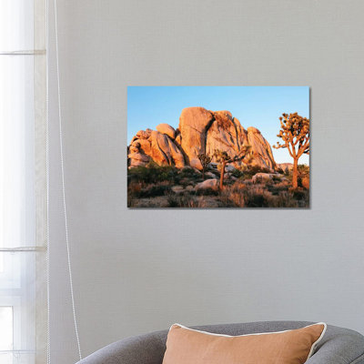 Sunset at Joshua Tree National Park, California 1 Piece Wrapped Canvas Wall Art