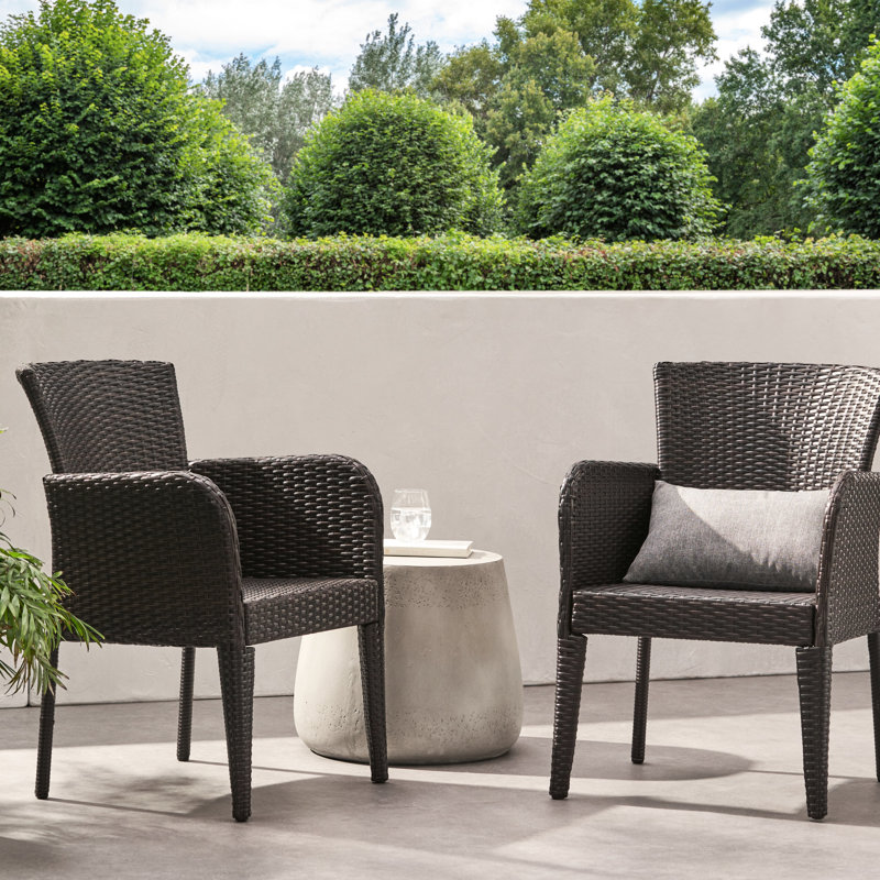 De 2 chaises de salle à manger d'extérieur et d'intérieur en PE - Fabrication en fer, eau, qualité multi brune, P 22,50 po x l 24,50 po, utilisation en H 34 po, fer à repasser, bonne caractéristique,