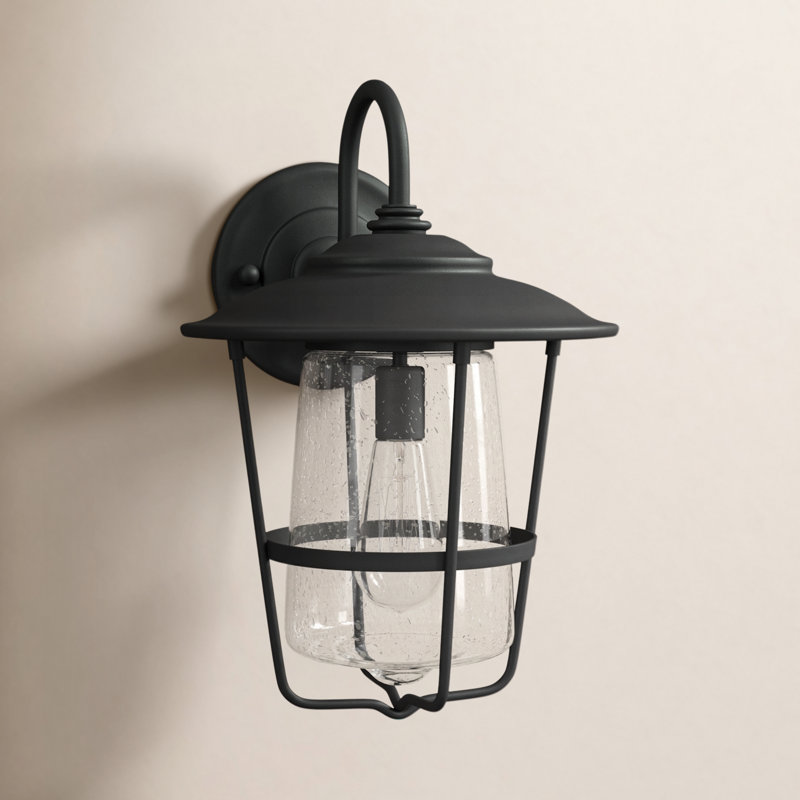 Clarina Dorulet 1 - Bulb Seeded Outdoor Wall Lantern, Black, 11"W X 16.25"H X 12"D