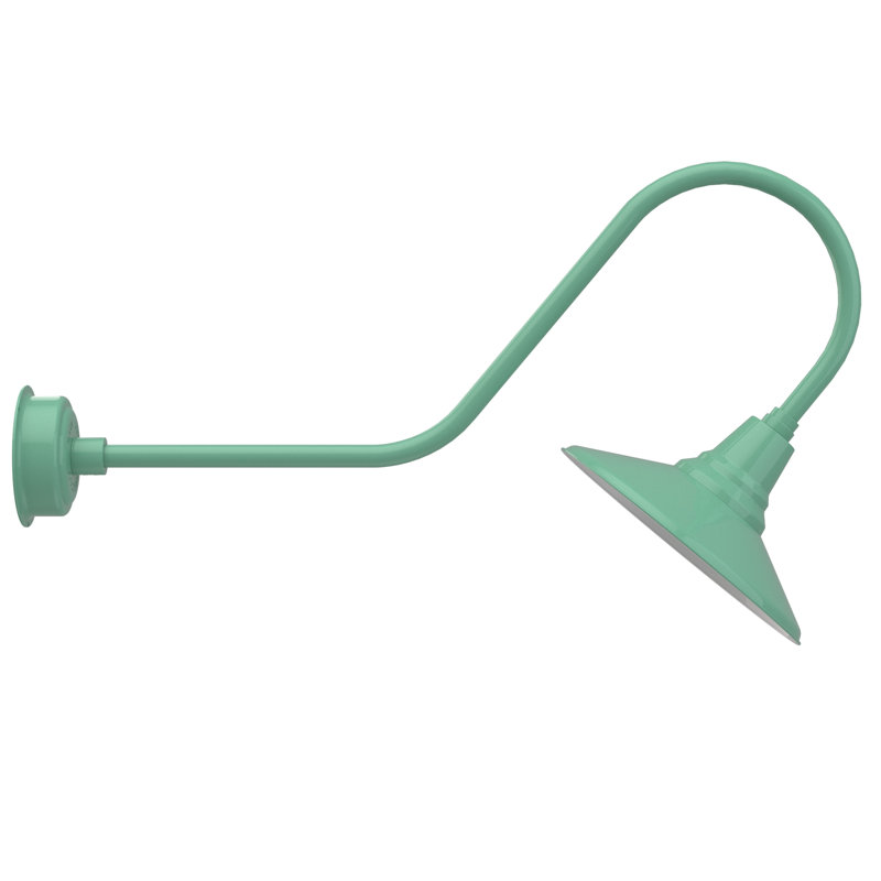 Luminaire de grange d’extérieur à del Albali, H 12 po x l 14 po x P 36 po, Jade