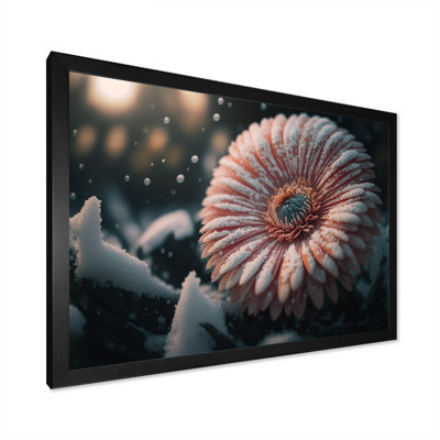 Une fleur de gerbera rose en hiver III - Impression sur toile