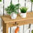 Fir Wood Potting Bench