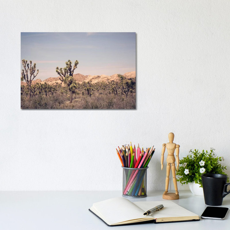 Joshua Tree III by Ann Hudec - Wrapped Canvas Print, 20.32 cm H x 30.48 cm W