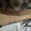 Customer photo 2 of 2