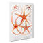 Star Fish Varieties by Albert I - Wrapped Canvas Painting Print-55318935
