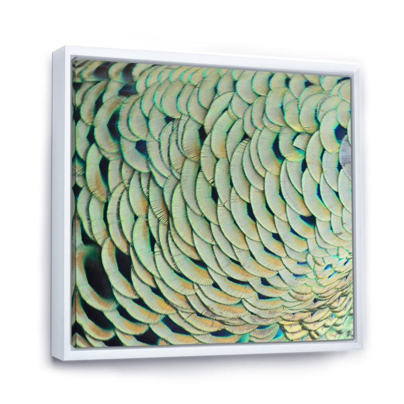 " Peacock Feathers III ", 16" H x 16" W x 1" D, White Floater Framed