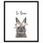 Le lapin est courage-48187568-48187588
