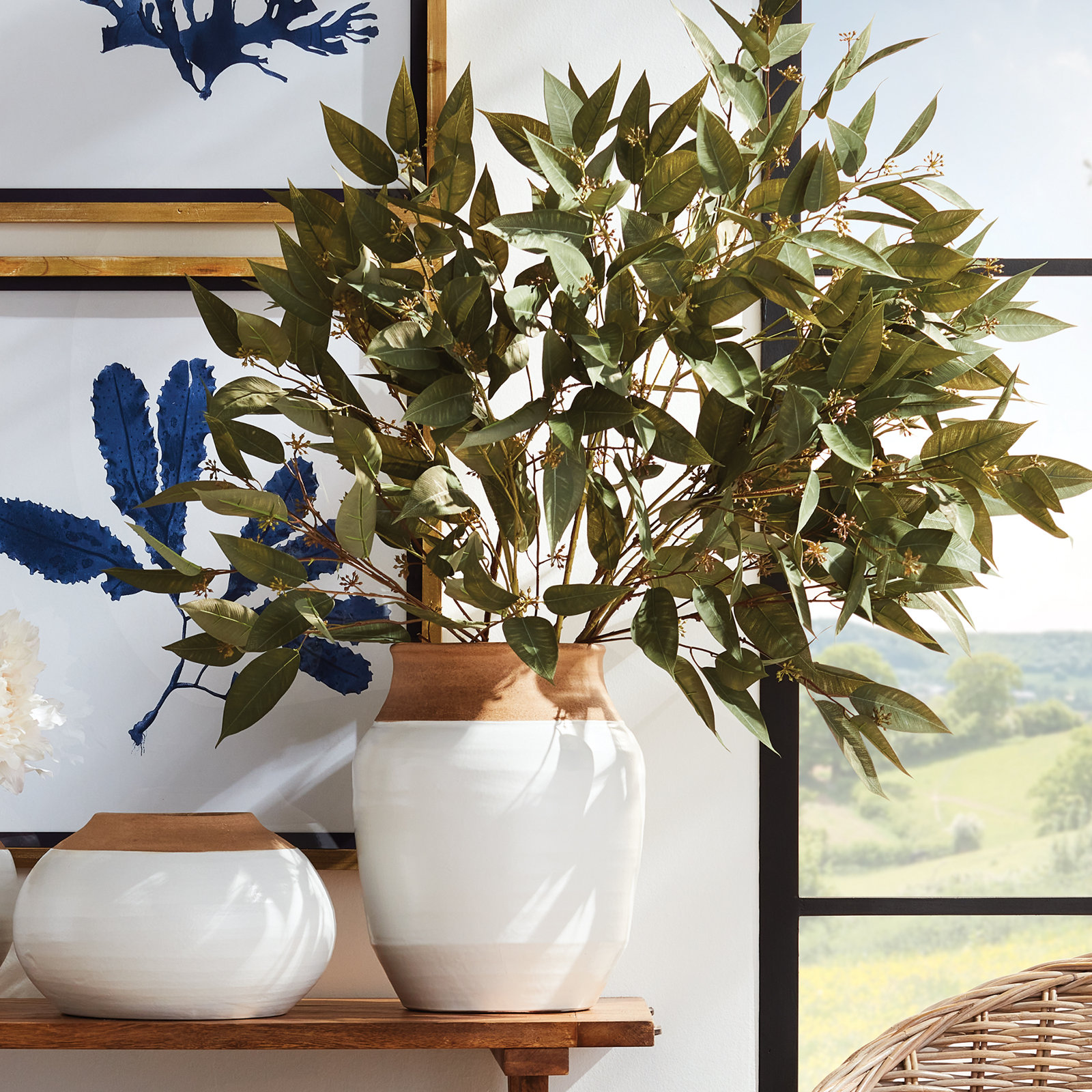 Eucalyptus Seed Stems