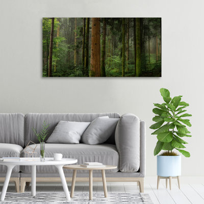 Fog In The Forest - No Frame Print on Canvas