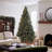 Carolina Pine Tree with Clear Lights-1118829670
