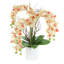 Modern Orchid Arrangement in Round Fiberstone Pot-1084581254