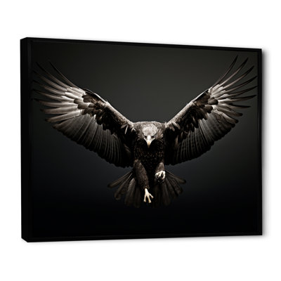 «Bold Eagle Power Hunter II», impressions encadrées
