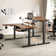 Inbox Zero Marquasha L Shaped Standing Desk with Monitor Stand & LED Strips, Dual Motor