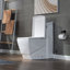 Dual-Flush Elongated One-Piece Toilet-58713036