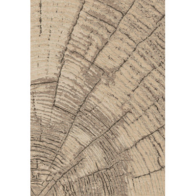 Rondeau Abstract Indoor Rug