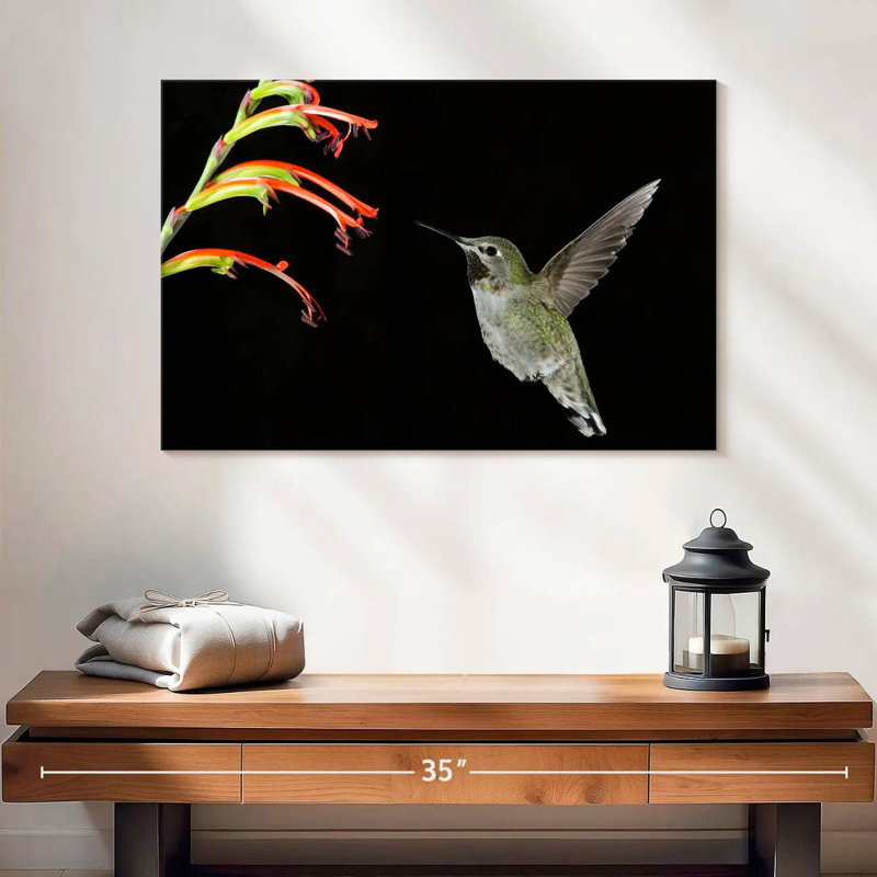 Hummingbird On Black, 8" H x 12" W
