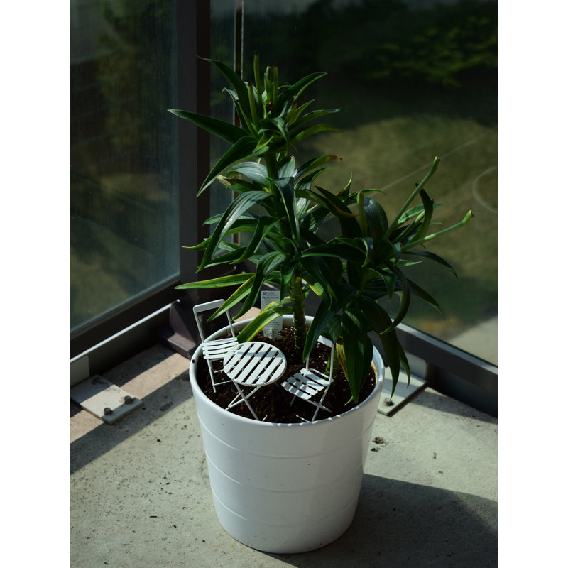 Ensemble de jardin fée 3 pièces, Blanc