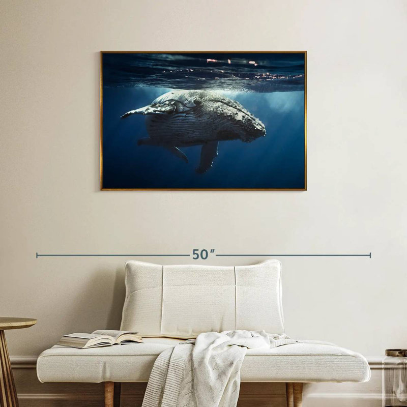 Baleine écumante, Cadre flottant doré, 37 po x 25 po