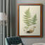 Toile encadrée de qualité supérieure Curtis Ferns II - prête à être accrochée-1615277136