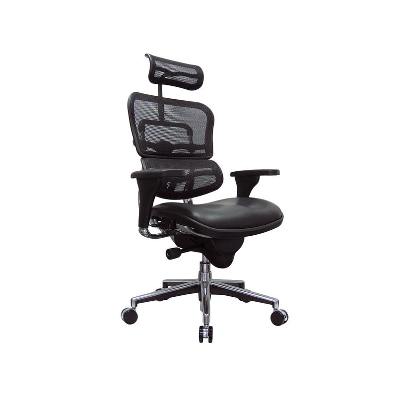 Ergonomic Task Chair