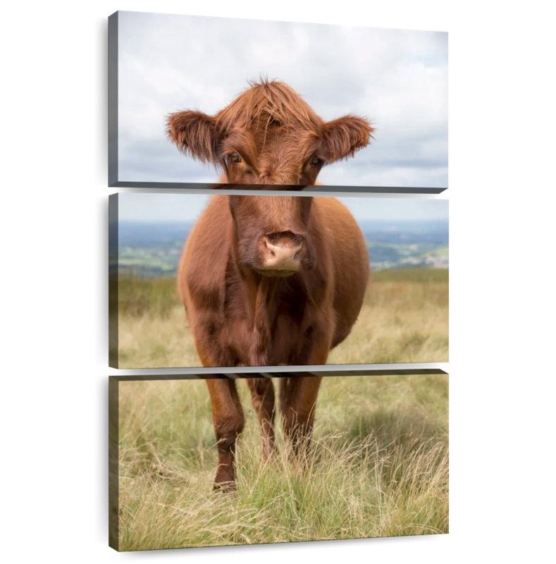 Vache de campagne anglaise brun Brampt, H 45 po x l 28 po