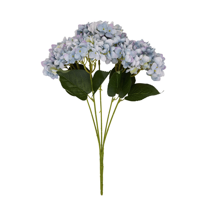Anastasija Arrangement, Blue