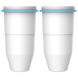 Replacement Filter (Set of 2)