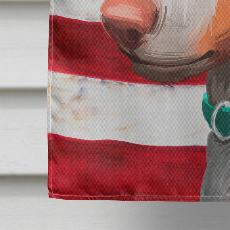 Polyester à 2 côtés 28 x 40 po drapeau maison, Lévrier ibizan