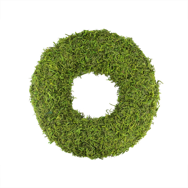 Green Reindeer Moss Artificial Floral Spring Wreath, 13.7"