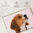Brampt Beagle-108690319