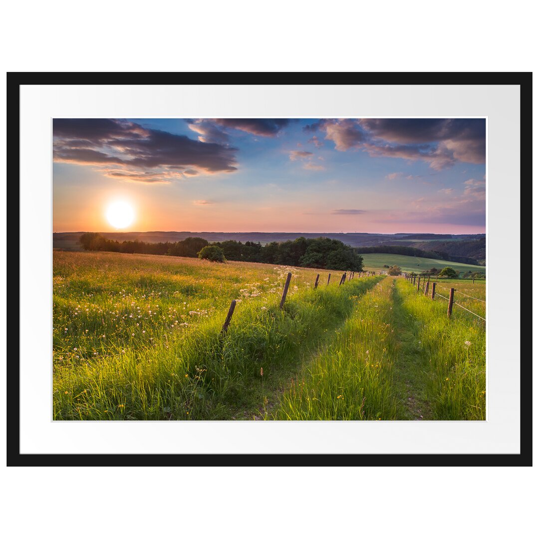 Gerahmtes Poster Bergwiese im Sonnenaufgang