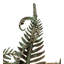 Fern 3 - Light Vanity Light