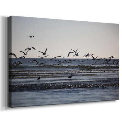 Flock of Seagulls -Gallery Wrapped Cavas