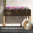 Raised Garden Bed with Trellis