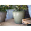 Eden Emblem Plant Pot - Plastic-296775583-296775556