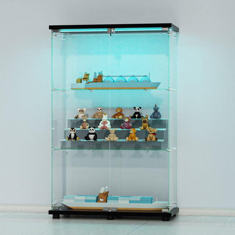 Vitrine noire à 2 portes et 3 tablettes avec éclairage DEL, Noir