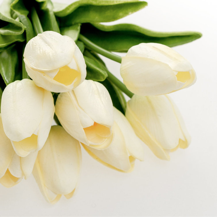 Tulipani Artificiali White Cream Real Touch 38cm 7pz-02299