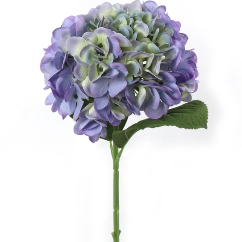 Rosas Hydrangea Arrangement